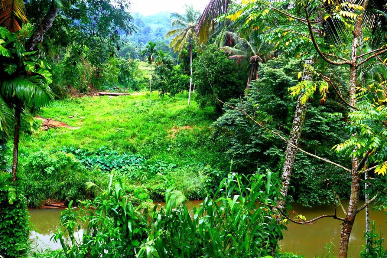 Rainforest River Bay Deniyaya Buitenkant foto